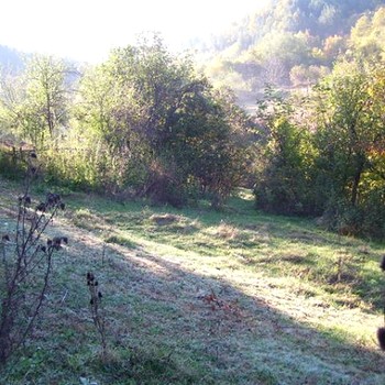 Terreni edificabili in Berkovitsa