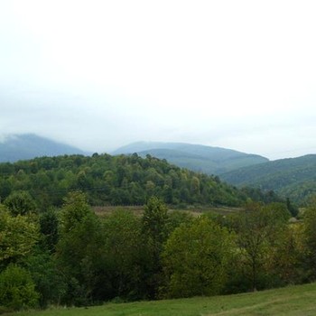 Terreni edificabili in Berkovitsa