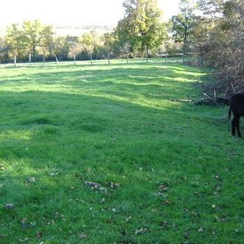 Terreni edificabili in Primorsko