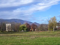 Terreni edificabili in Berkovitsa