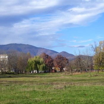 Terreni edificabili in Berkovitsa