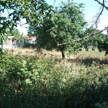 Costruire trama non lungi dalla spiaggia