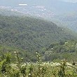 Foresta in vendita vicino a Veliko Tarnovo