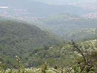 Foresta in Veliko Tarnovo