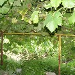 La casa in vendita
