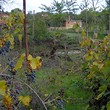 Il parco nazionale di Strandzha vicino della casa