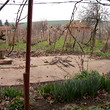 Casa, casa estiva, garage e il giardino grande sul prezzo attraente