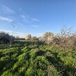 Casa rurale con grande terreno alla fine di un villaggio vicino a Burgas.