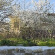 Casa rurale con grande terreno alla fine di un villaggio vicino a Burgas.