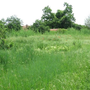 Terreni edificabili in Burgas