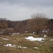 Terreno vicino al mare