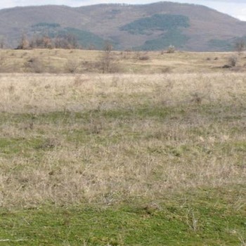 Terreno agricolo in Burgas