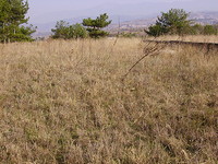 Terreno agricolo in Sandanski