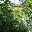 Casa rurale vecchia con il giardino grande alla fine del villaggio