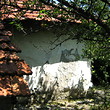 Casa rurale vecchia con il giardino grande alla fine del villaggio