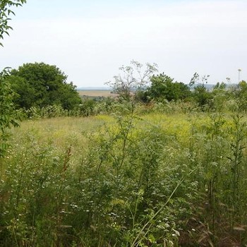 Pace di terra vicino al mare
