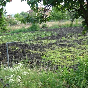 Terreni edificabili in Burgas