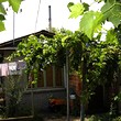 Casa in vendita a Bolyarovo