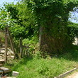 Trama regolamentata in Sandanski