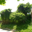 Trama regolamentata in Sandanski