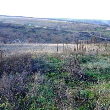 Terreni edificabili in Razgrad