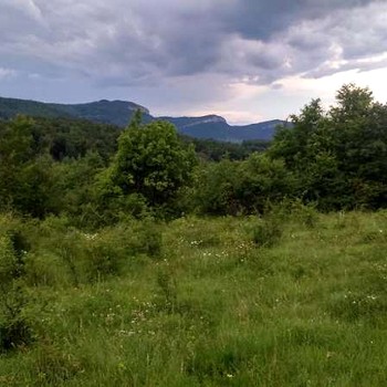 Terreni edificabili in Gabrovo