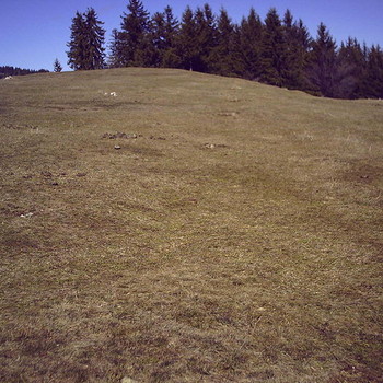 Terreni edificabili in Pamporovo