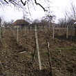 Proprietа grande con due case