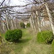 Il fiume vicino della proprietà