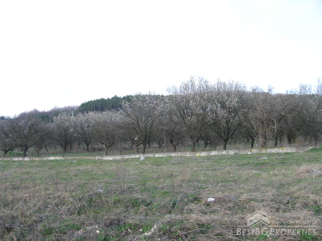 Regolamentato terreni in vendita vicino Albena