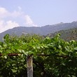 Casa solida nelle montagne