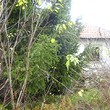 Due case in un appezzamento di terreno