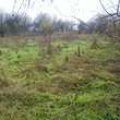 Due case in un appezzamento di terreno
