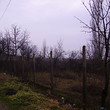 Due casa di piano con il giardino grande