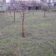 Due casa di piano con il giardino grande