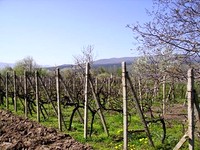 Terreni edificabili in Kazanlak