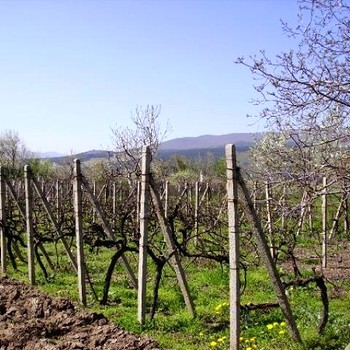 Terreni edificabili in Kazanlak